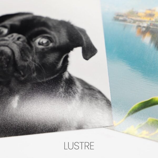 Professional Lustre Photo Paper