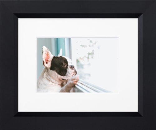 Photo of a custom framed  photograph 