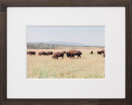 Photo of a custom framed and printed  photograph 