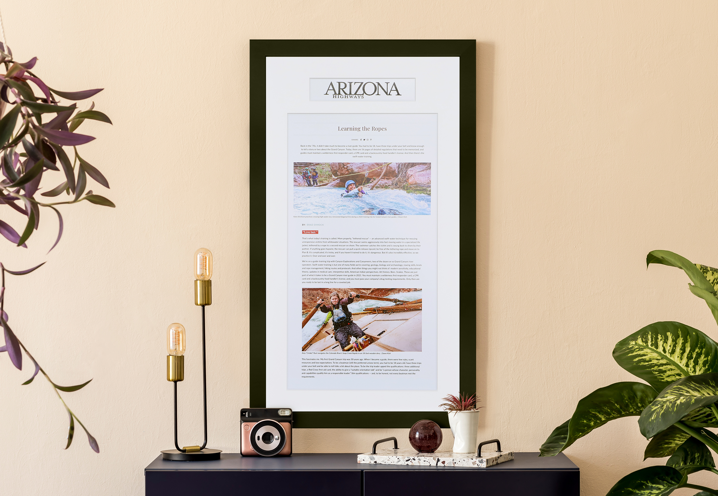Framed publication hanging on office wall