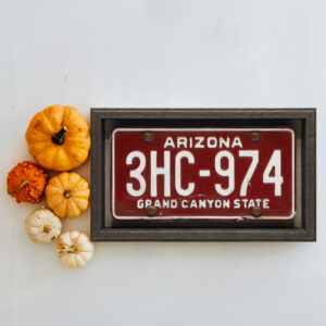 AZ license plate in a float frame laying near pumpkins