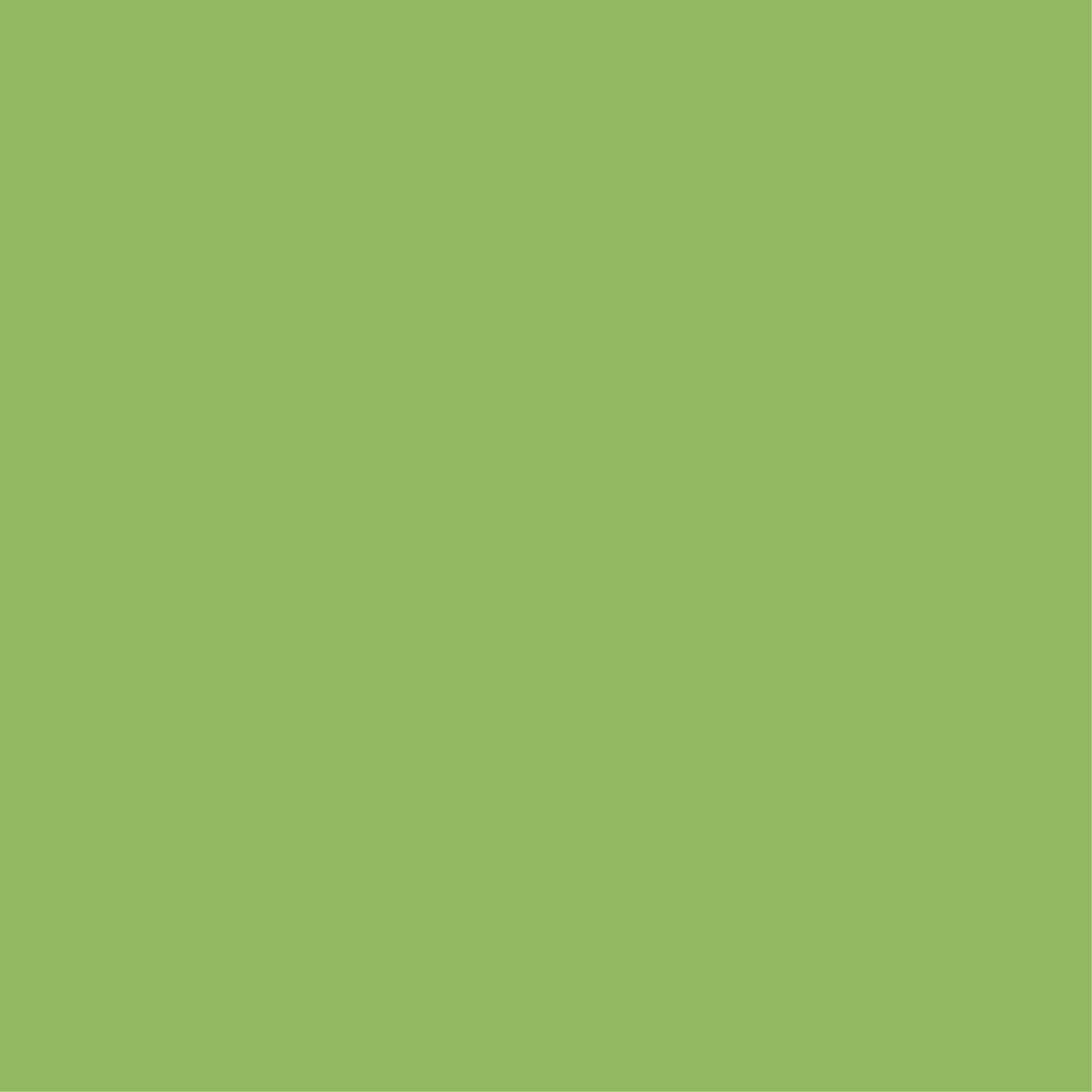 Image of a Green Color Swatch