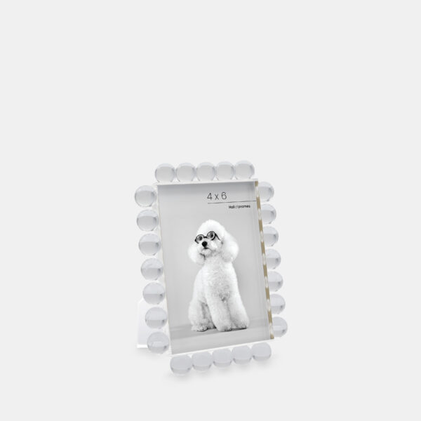 A 4x6 clear acrylic bubble frame that features a photo of a dog with glasses.