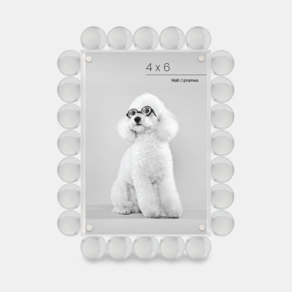 A 4x6 clear acrylic bubble frame that features a photo of a dog with glasses.