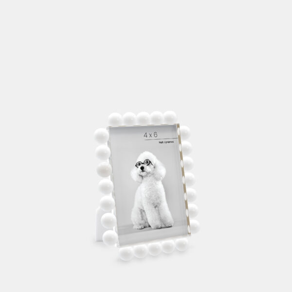 A 4x6 white acrylic bubble frame that features a photo of a dog with glasses.