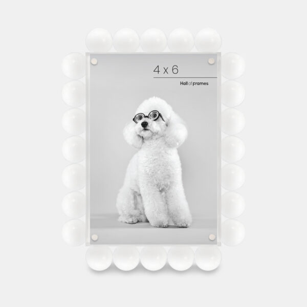 A 4x6 white acrylic bubble frame that features a photo of a dog with glasses.