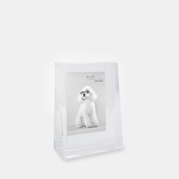 A 4x6 glass frame that features an angled wedge shape with a photo of a dog with glasses inside.