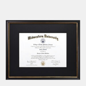 15.75x22 Medical Diploma Frame Black and Gold Wood Black Mats