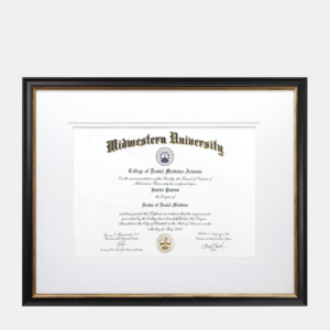 15.75x22 Medical Diploma Frame Black and Gold Wood White Mats