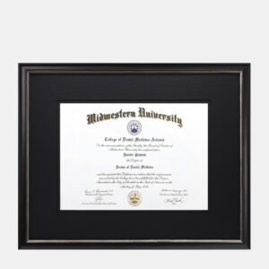 15.75x22 Medical Diploma Frame Black and Silver Wood Black Mats