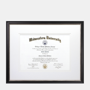 15.75x22 Medical Diploma Frame Black and Silver Wood White Mats