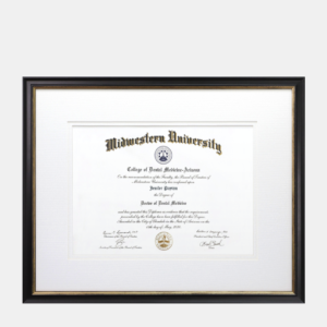 15.75x22 Medical Diploma Frame Black and Gold Wood White Mats