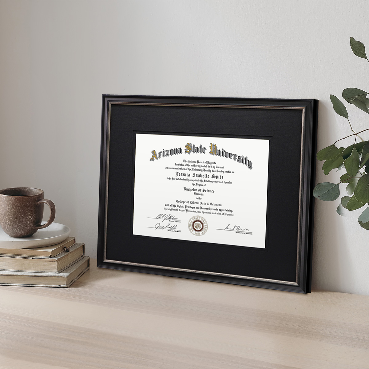 Diploma_1200x1200