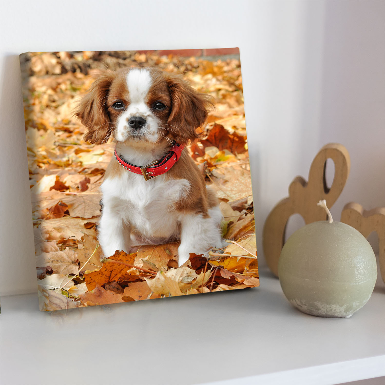 Canvas prints resting on a white shelf, one showing a family in winter coats and the other a puppy in autumn leaves.