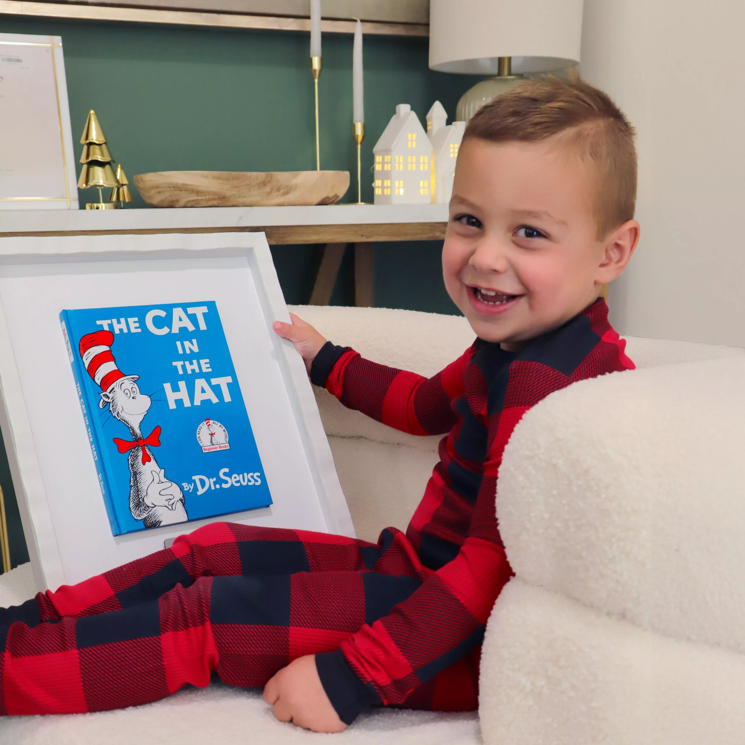 Free Cat And The Hat Book
